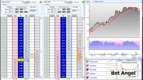bet angel|Betfair trading software .